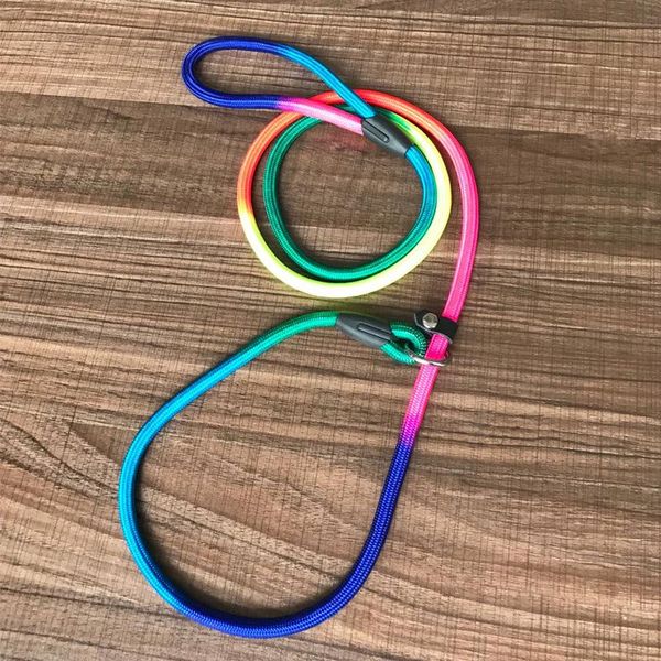 dog collars & leashes rainbow small slip lead leash p chain collar pet walking leads colorful training rope traction for medium dogs
dog collars & leashes rainbow small slip lead leash p chain collar pet walking leads colorful training rope traction for medium dogs