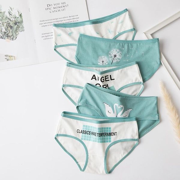 women's panties women cotton lingerie print letters underwear girl ladies panty casual briefs womens, Black;pink
women's panties women cotton lingerie print letters underwear girl ladies panty casual briefs womens, Black;pink