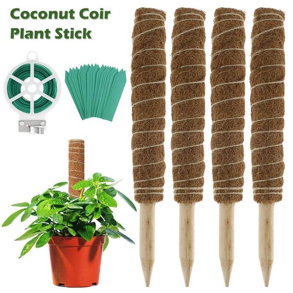 other garden supplies 4pcs 40cm plant support coir totem stick moss pole for extension creepers climbing accessories
other garden supplies 4pcs 40cm plant support coir totem stick moss pole for extension creepers climbing accessories