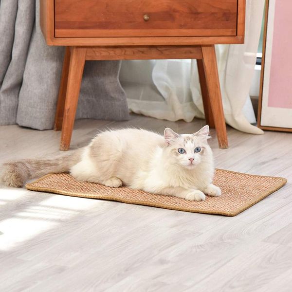 cat beds & furniture nail sharpen scratching board cooling litter plate supplies climbing toy four seasons universal small dog kennel
cat beds & furniture nail sharpen scratching board cooling litter plate supplies climbing toy four seasons universal small dog kennel