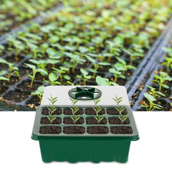 1set seed starter tray kit plant seedling 12 cells seeding with lids grow trays for growing planters & pots
1set seed starter tray kit plant seedling 12 cells seeding with lids grow trays for growing planters & pots