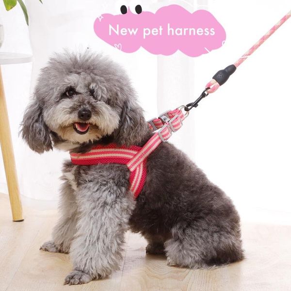 dog collars & leashes 2021 pet harness leash soft puppy cat set traction good quality chest accessories
dog collars & leashes 2021 pet harness leash soft puppy cat set traction good quality chest accessories