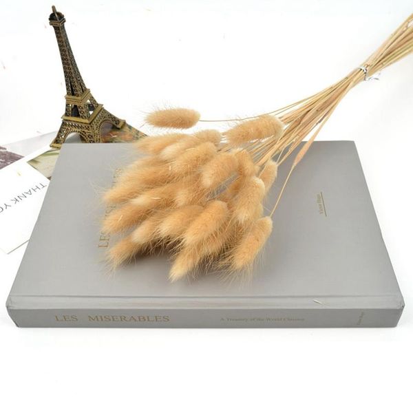 30pcs/lot dried flowers bouquet natural plant grass pennisetum tail hay wedding party home decorations decorative & wreaths
30pcs/lot dried flowers bouquet natural plant grass pennisetum tail hay wedding party home decorations decorative & wreaths
