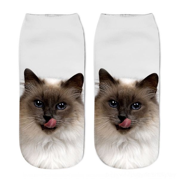 2rFZ hot selling hosiery printing boat cartoon three dimensional socks original suzerain animal cat 3d printing boat socks, Black;white
2rFZ hot selling hosiery printing boat cartoon three dimensional socks original suzerain animal cat 3d printing boat socks, Black;white