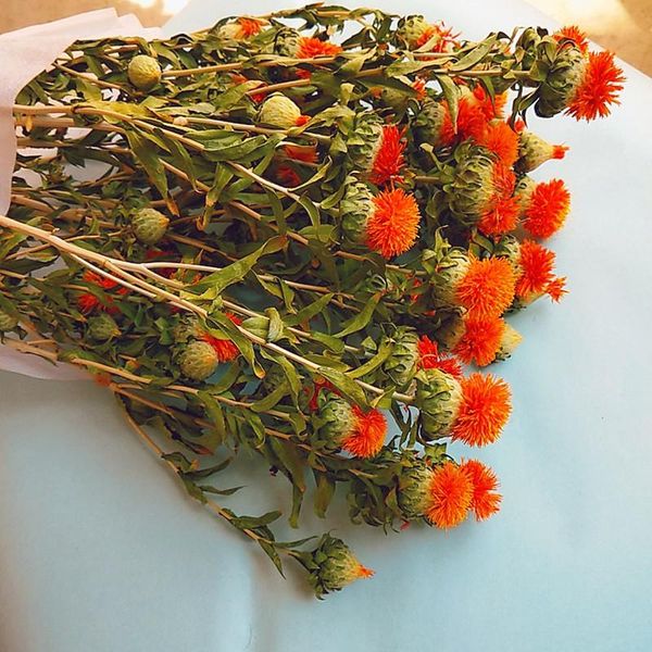 natural dried orange pineapple flower bunch home decoration garden wedding banquet ornamental diy gifts daisies decorative flow
natural dried orange pineapple flower bunch home decoration garden wedding banquet ornamental diy gifts daisies decorative flow
