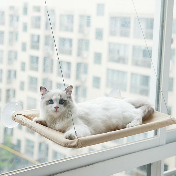 cat suction cup hanging bed sofa durable seat window hammock pet climbing toy lounger soft warm bearing 15kg beds & furniture
cat suction cup hanging bed sofa durable seat window hammock pet climbing toy lounger soft warm bearing 15kg beds & furniture