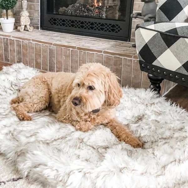 pet dog soft kennel bed shag plush calming warm puppy cushion mat for winter aia99 kennels & pens
pet dog soft kennel bed shag plush calming warm puppy cushion mat for winter aia99 kennels & pens