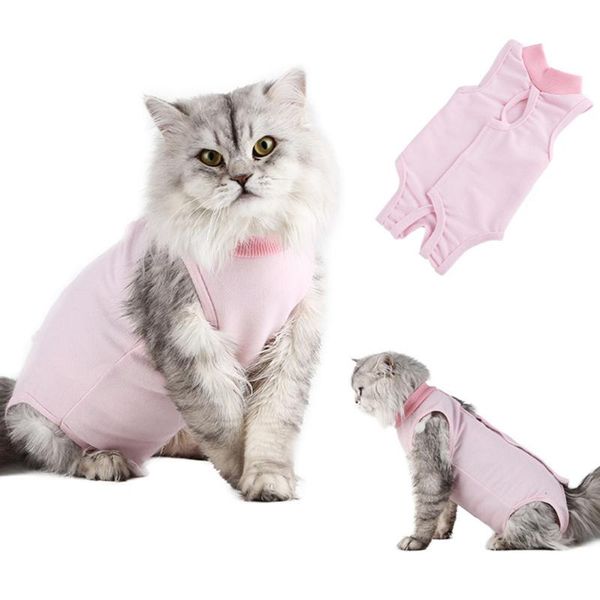 cat costumes arrival pet cats recovery weaning suit breathable elastic vest wound protection clothes wholesale drop
cat costumes arrival pet cats recovery weaning suit breathable elastic vest wound protection clothes wholesale drop