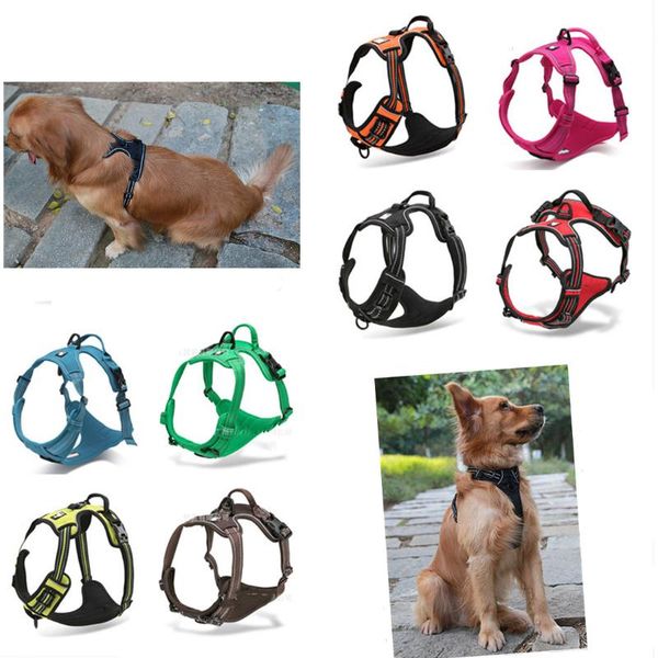dog collars & leashes breast straps explosion proof reflective tow collar leash seat belt
dog collars & leashes breast straps explosion proof reflective tow collar leash seat belt