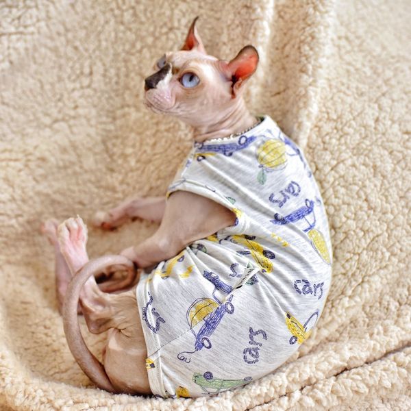 good to wear soft cotton sleevels vt in summer thin cut sphinx hairls cat cloth short foot german style
good to wear soft cotton sleevels vt in summer thin cut sphinx hairls cat cloth short foot german style