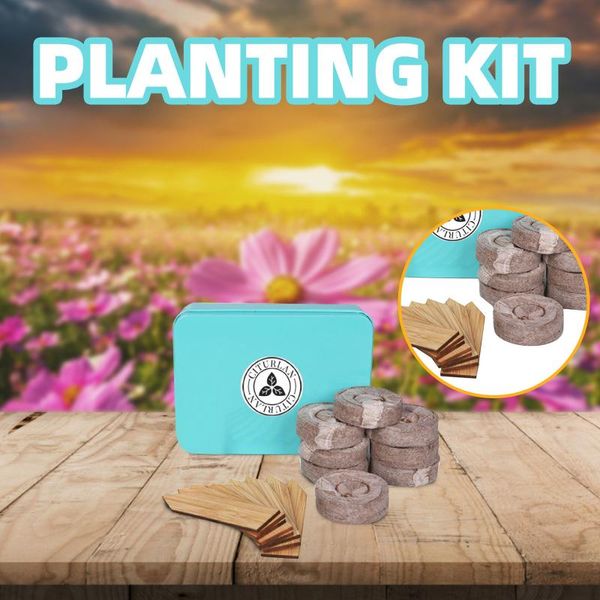 planters & pots family potted plant set landscape introduction indoor growth for planting and decoration #4
planters & pots family potted plant set landscape introduction indoor growth for planting and decoration #4