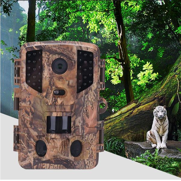 outdoor forest security hunting camera video infrared induction heat sensor night vision wildlife surveillance wild tracking cam ip cameras
outdoor forest security hunting camera video infrared induction heat sensor night vision wildlife surveillance wild tracking cam ip cameras