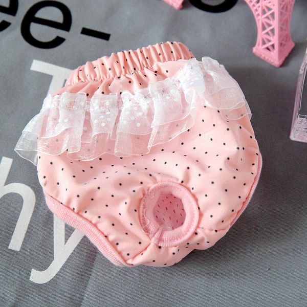 dog apparel pink lace dot girl pet underwear puppy diaper pants physiological sanitary bow short party nappy pant accessories
dog apparel pink lace dot girl pet underwear puppy diaper pants physiological sanitary bow short party nappy pant accessories
