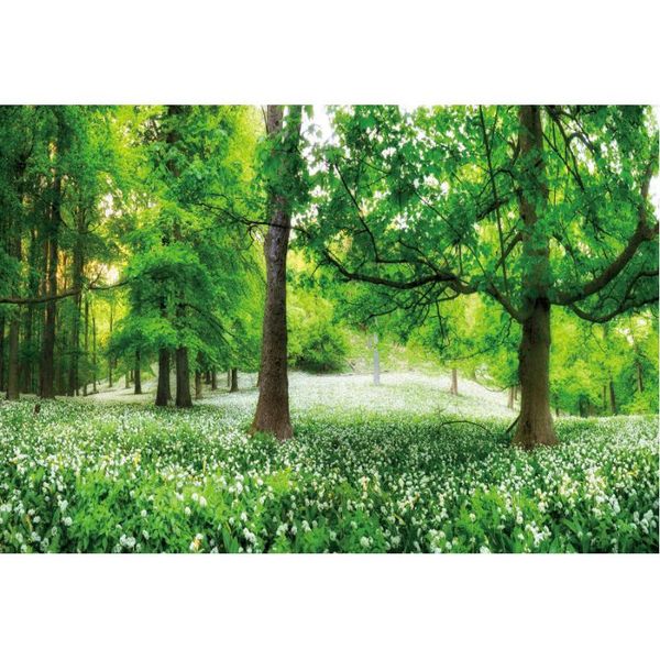 party decoration spring forest plants flowers backdrop wedding pography background studio props family holiday po booth
party decoration spring forest plants flowers backdrop wedding pography background studio props family holiday po booth
