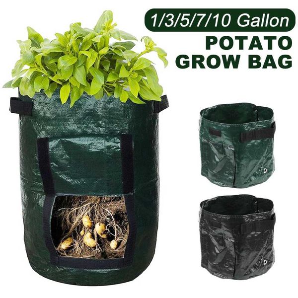 planters & pots gardening grow bags potato planter pe cloth vegetable pot planting bag container garden tool
planters & pots gardening grow bags potato planter pe cloth vegetable pot planting bag container garden tool