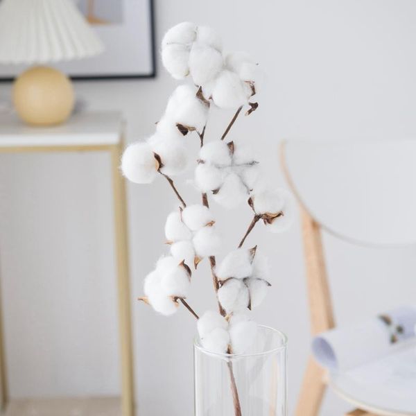 decorative flowers & wreaths 10 heads dried white cotton artificial wedding vases for home decor christmas crafts festive gifts
decorative flowers & wreaths 10 heads dried white cotton artificial wedding vases for home decor christmas crafts festive gifts