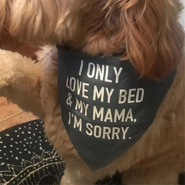 dog apparel personalised bandana i only love my bed and mama i'm sorry grey accessories gift outfit for
dog apparel personalised bandana i only love my bed and mama i'm sorry grey accessories gift outfit for