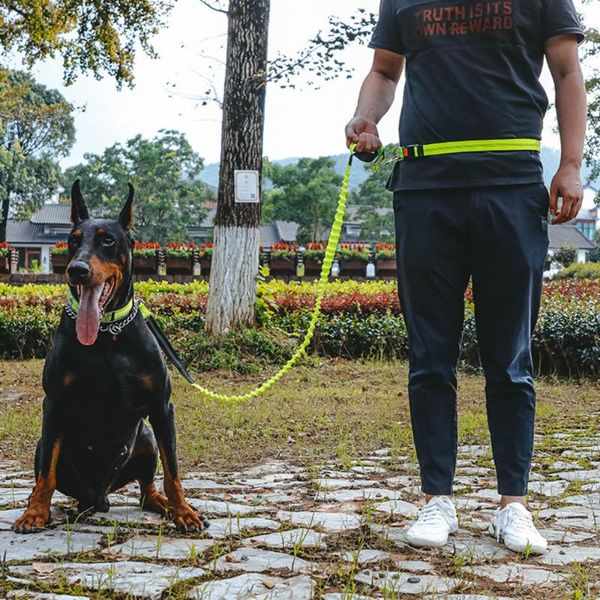 straight elastic running traction belt dog collars leads leash harness multifunctional retractable pet products the price of & leashes
straight elastic running traction belt dog collars leads leash harness multifunctional retractable pet products the price of & leashes