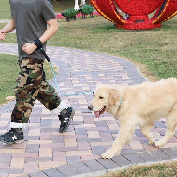 reflective nylon dog harness leash adjustable collar training rope with buckle drop collars & leashes
reflective nylon dog harness leash adjustable collar training rope with buckle drop collars & leashes