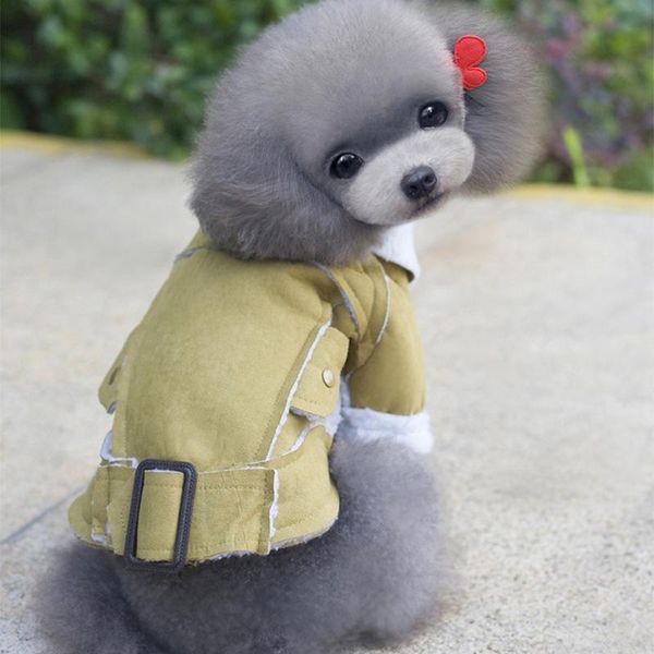 dog apparel autumn and winter european american style pet clothin stylish lapel jacket coat t-shirt sweater teddy small clothing
dog apparel autumn and winter european american style pet clothin stylish lapel jacket coat t-shirt sweater teddy small clothing
