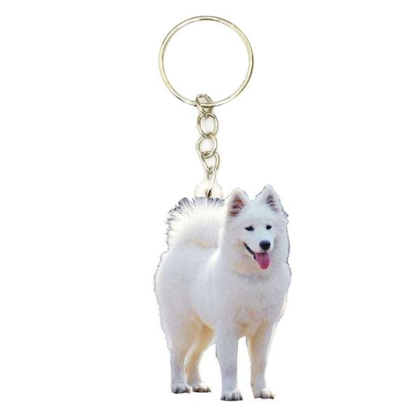 samoyed acrylic dog keyring fashion keychains men key chain child ring boyfriend gift gifts for womens girls keychain apparel
samoyed acrylic dog keyring fashion keychains men key chain child ring boyfriend gift gifts for womens girls keychain apparel