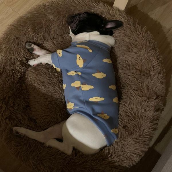 kennels & pens round pet dogs kennel cats bed soft long plush sleeping house winter warm sofa basket for large medium small dog cat
kennels & pens round pet dogs kennel cats bed soft long plush sleeping house winter warm sofa basket for large medium small dog cat