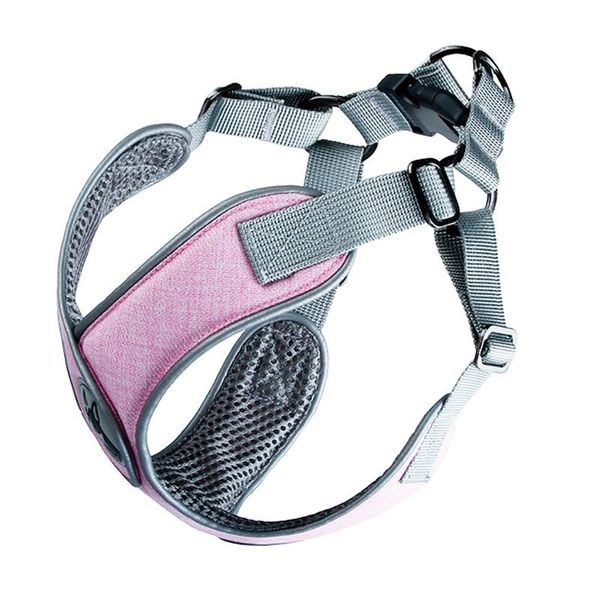 dog collars & leashes dogs chest strap reflectors chains strings dog-friendly vests traction rope pets d6
dog collars & leashes dogs chest strap reflectors chains strings dog-friendly vests traction rope pets d6