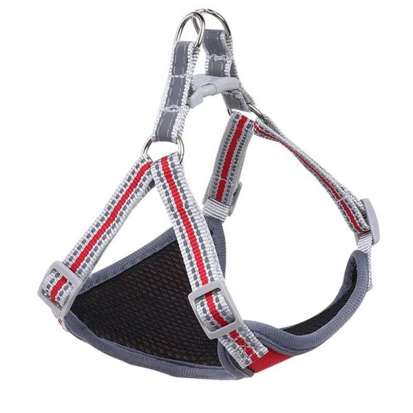 dog collars & leashes 1 set stylish cat outdoor vest puppy harness breathable prevent break free
dog collars & leashes 1 set stylish cat outdoor vest puppy harness breathable prevent break free