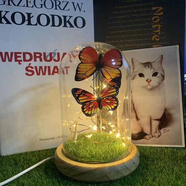 table lamps honey 3d butterfly nightlight decor lamp light usb dc 5v fairy lantern string high borosilicate glass process
table lamps honey 3d butterfly nightlight decor lamp light usb dc 5v fairy lantern string high borosilicate glass process