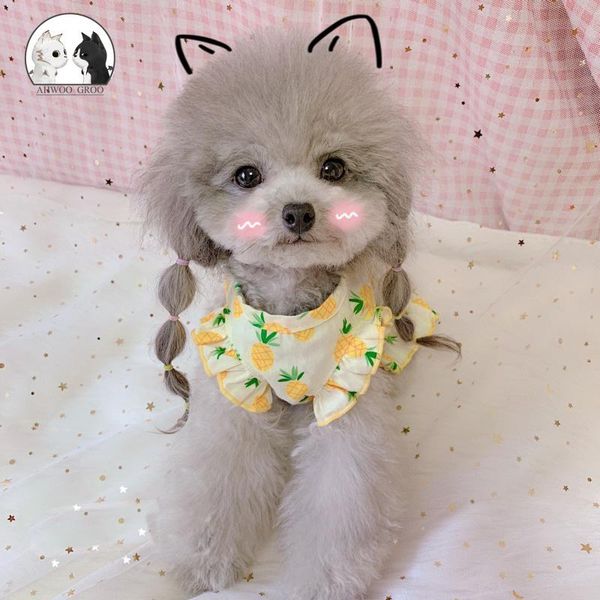 dog apparel summer pineapple dress for pet clothes sweet cute fruit skirt puppy clothing small medium cat breathable
dog apparel summer pineapple dress for pet clothes sweet cute fruit skirt puppy clothing small medium cat breathable
