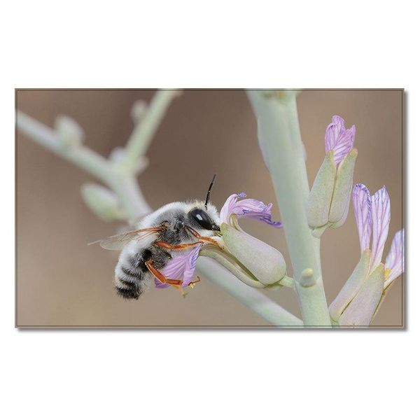 nature colourful crystal bath mat dream flower non slip super bathroom carpet doormat floor dirt trapper mats shoes scraper carpets
nature colourful crystal bath mat dream flower non slip super bathroom carpet doormat floor dirt trapper mats shoes scraper carpets