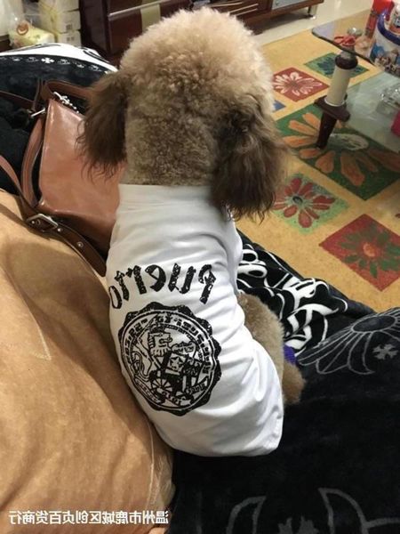 the dog clothes teddy pet better than bear chihuahua clothes spring and summer dog t-shirt
the dog clothes teddy pet better than bear chihuahua clothes spring and summer dog t-shirt