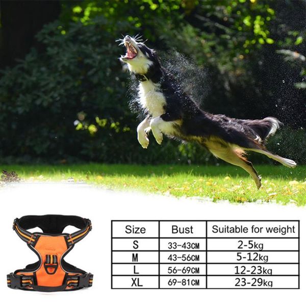 dog apparel harness no-pull vest harnesses reflective for training with handle adjustable durable 
dog apparel harness no-pull vest harnesses reflective for training with handle adjustable durable