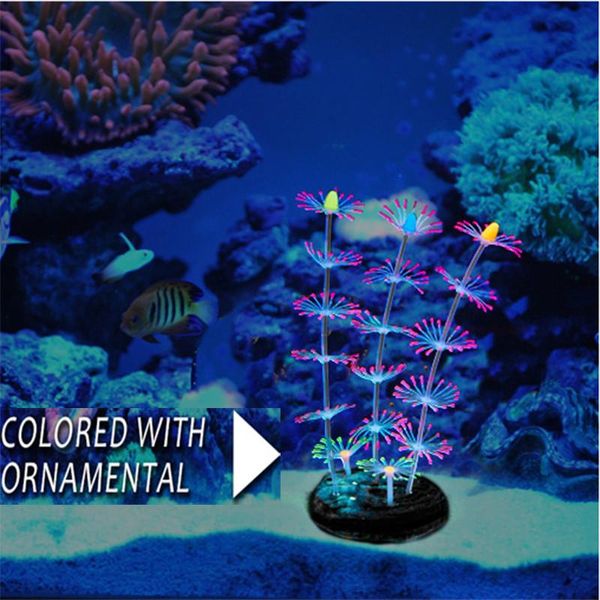 silica gel simulation coral decoration aquarium fish tank landscaping fluorescent kelp grass soft decorations
silica gel simulation coral decoration aquarium fish tank landscaping fluorescent kelp grass soft decorations