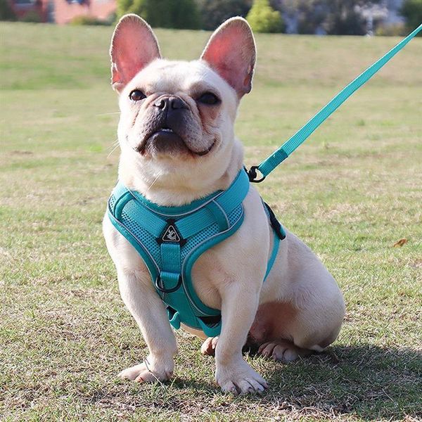 dog collars & leashes reflective pet harness vest-style chest for dogs puppy collar cat strap supplies
dog collars & leashes reflective pet harness vest-style chest for dogs puppy collar cat strap supplies