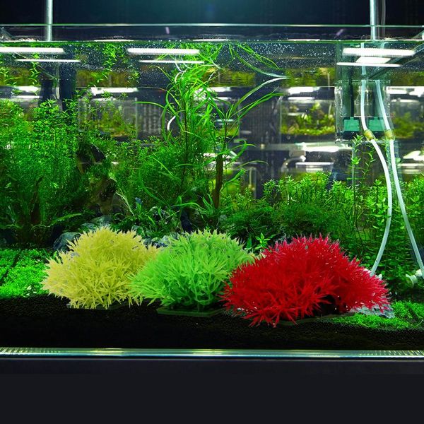 decorations artificial aquatic plastic plant water aquarium grass 1pcs fish tank decoration ornament underwater landscape
decorations artificial aquatic plastic plant water aquarium grass 1pcs fish tank decoration ornament underwater landscape
