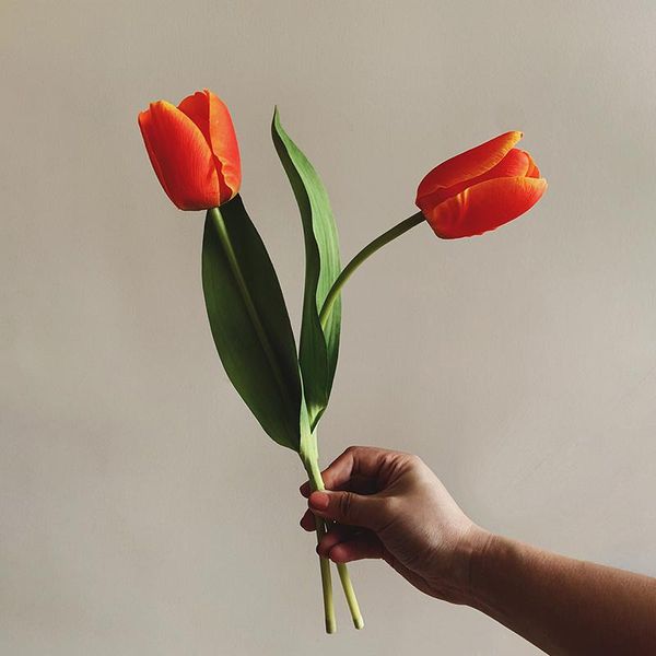 decorative flowers & wreaths nordic style 2pcs artificial high moisturizing feel fake tulip home/coffee shop display party decors
decorative flowers & wreaths nordic style 2pcs artificial high moisturizing feel fake tulip home/coffee shop display party decors