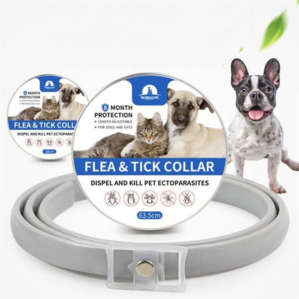dog collars & leashes 8 months long-term effective flea prevention collar and tick for cat
dog collars & leashes 8 months long-term effective flea prevention collar and tick for cat