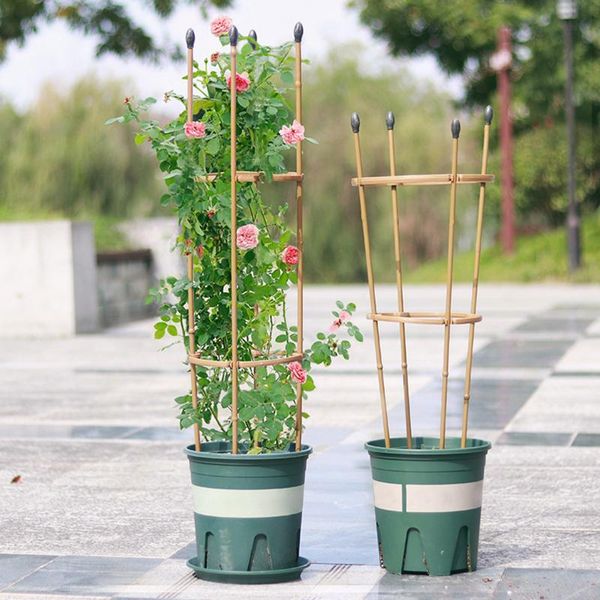 other garden supplies 1pc plant pot plastic flower stand tomato support cages climbing frame decor bracket trellis
other garden supplies 1pc plant pot plastic flower stand tomato support cages climbing frame decor bracket trellis