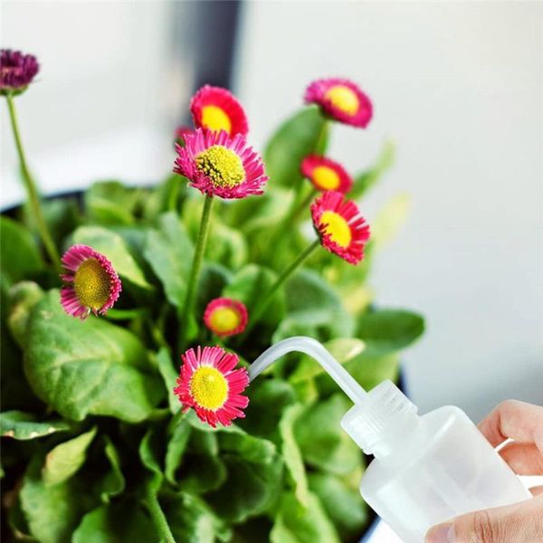 planters & pots planting watering diy tool garden planter kit pruning transplanting succulent for household grass supply
planters & pots planting watering diy tool garden planter kit pruning transplanting succulent for household grass supply