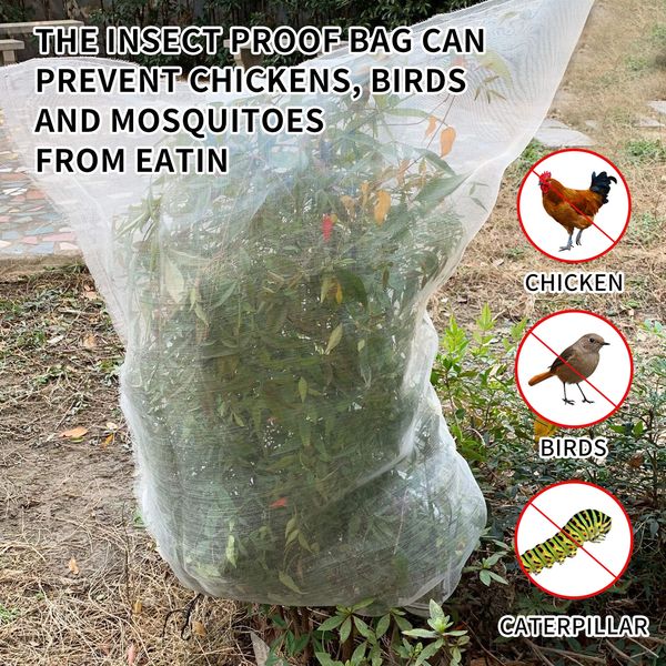 freight yegbong oem odm plant insect net garden plant cover protection fruit flower insect bird barrier net with drawstring
freight yegbong oem odm plant insect net garden plant cover protection fruit flower insect bird barrier net with drawstring