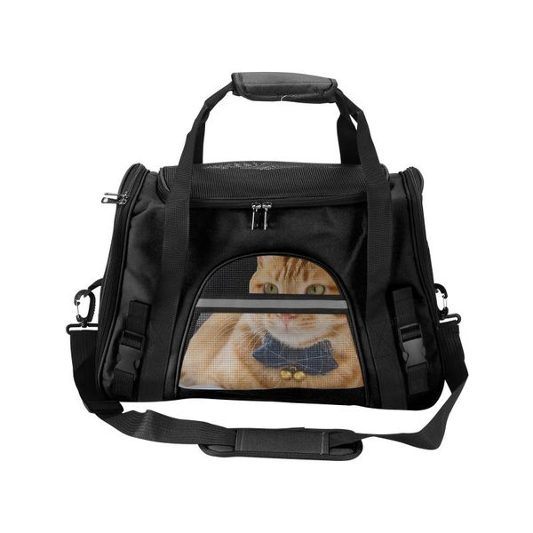 cat carriers,crates & houses multifunctional foldable pet bag for outdoor traveling convenient carrying carrier supplies cozy fleece bed
cat carriers,crates & houses multifunctional foldable pet bag for outdoor traveling convenient carrying carrier supplies cozy fleece bed