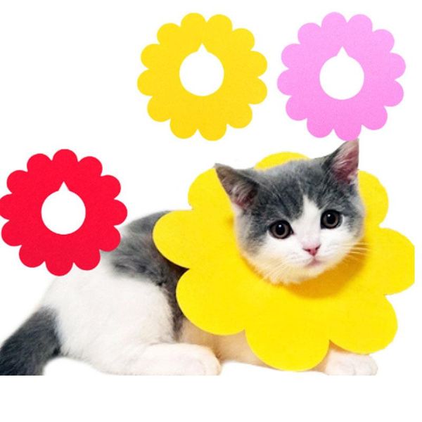cat collars & leads 5pcs/lot kawaii dog collar cute sun flower anti-lick anti-bite pet elizabethan circle puppy neckerchief saliva towel
cat collars & leads 5pcs/lot kawaii dog collar cute sun flower anti-lick anti-bite pet elizabethan circle puppy neckerchief saliva towel