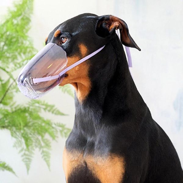 3pcs/set anti bite breathable cat muzzle kitten mouth cover transparent head anti-bite shower pet supply dog car seat covers
3pcs/set anti bite breathable cat muzzle kitten mouth cover transparent head anti-bite shower pet supply dog car seat covers