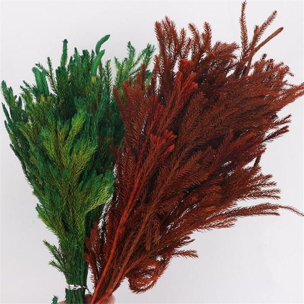 decorative flowers & wreaths 20cm 100% natural true dried matsuedaparty decoration home garden decor 30g eternal flower ishimatsu1
decorative flowers & wreaths 20cm 100% natural true dried matsuedaparty decoration home garden decor 30g eternal flower ishimatsu1