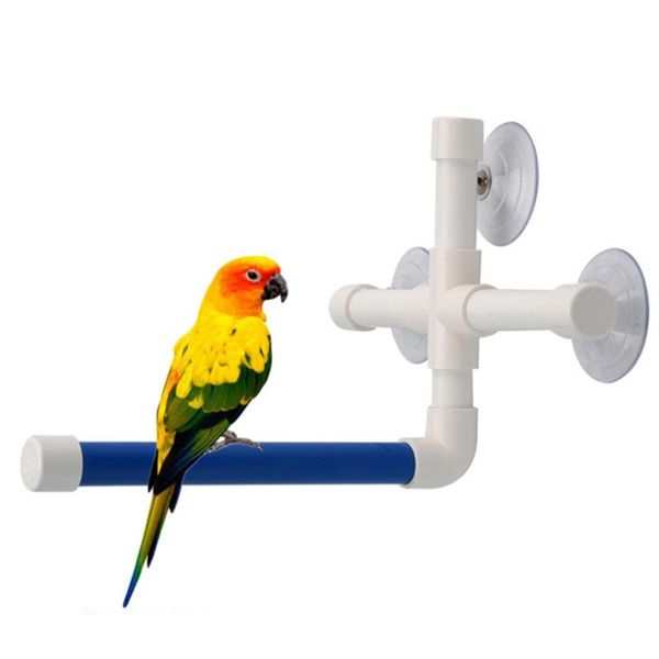 other bird supplies pet parrot shower perches rack stand station platform stick bath toys grinding accessories
other bird supplies pet parrot shower perches rack stand station platform stick bath toys grinding accessories