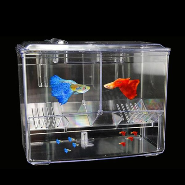aquariums outer hanging alga breeding box incubator isolation nursery house aquarium accessaries
aquariums outer hanging alga breeding box incubator isolation nursery house aquarium accessaries
