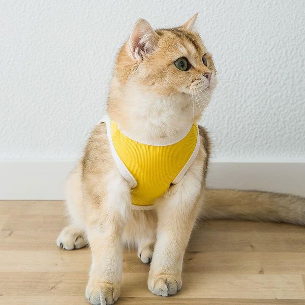cute pet vest spring summer thin section breathable cool cartoon cat clothes supplies costumes
cute pet vest spring summer thin section breathable cool cartoon cat clothes supplies costumes