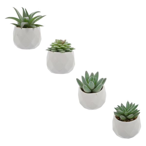 decorative flowers & wreaths 4pcs imitation succulent plants bonsai decor fake potted
decorative flowers & wreaths 4pcs imitation succulent plants bonsai decor fake potted