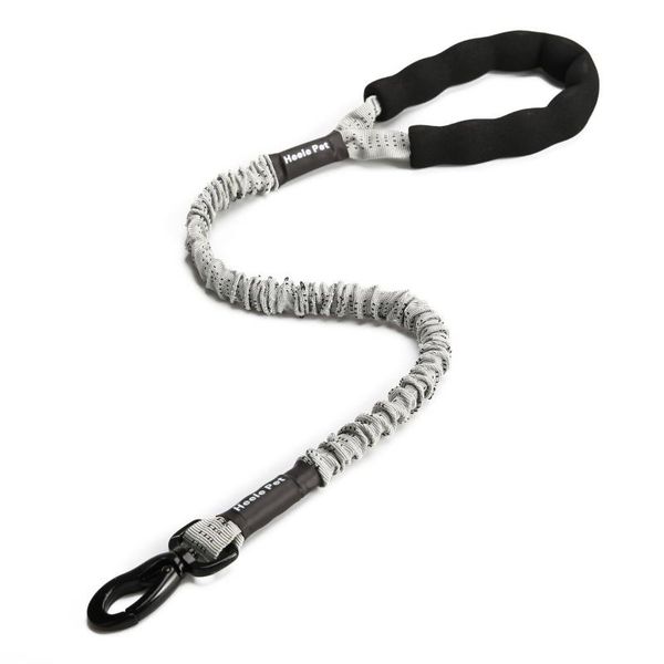 dog collars & leashes pet rope elasticity leash for small medium large dogs puppy collar cat chest strap
dog collars & leashes pet rope elasticity leash for small medium large dogs puppy collar cat chest strap